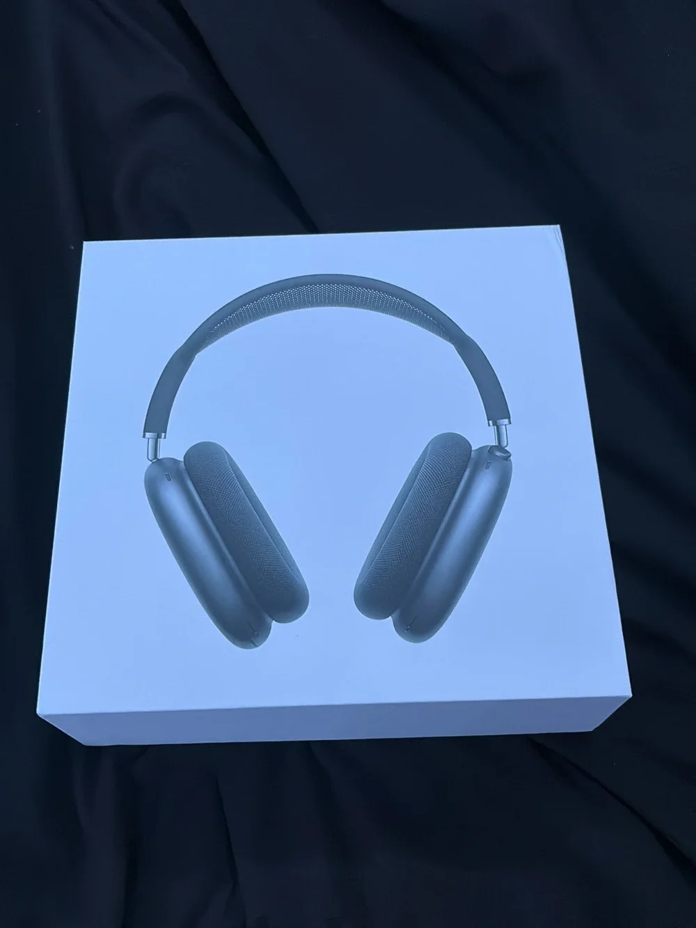 Apple AirPods Max in Silver Over-Ear Headphones